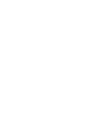 IO Festival